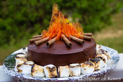 Campfire Cake, Foose, Lone Ranger, Fancy Cakes, Pretty Cakes, Creative Cakes, Cute Cakes, Cake Inspiration, Kids Cake