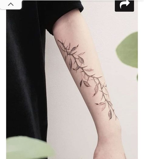 Vine And Thorns Tattoo, Flower Thorn Tattoo, Thorne Vine Tattoo, Thorn And Leaves Tattoo, Thorn Vine Tattoos For Women, Thorns Wrapped Around Arm Tattoo, Forearm Thorn Tattoo, Thorns And Leaves Tattoo, Vines And Thorns Tattoo