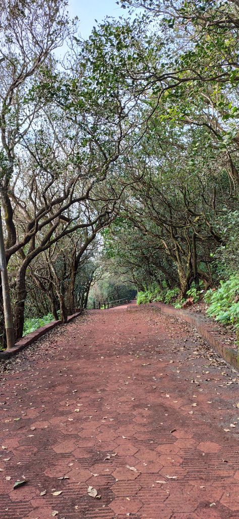 Matheran Snap, Matheran Hill Station, Casual Frocks, Hill Station, Snap Food, Photography, Travel, Quick Saves