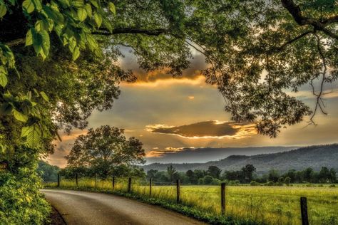 Cades Cove Campground, Great Smoky Mountains National Park - Recreation.gov Tennessee Landscape, Hills Photography, Smokey Mountains Vacation, Cades Cove Tennessee, Cades Cove, Mountain Vacations, Mountain Life, Great Smoky Mountains National Park, Smoky Mountain National Park