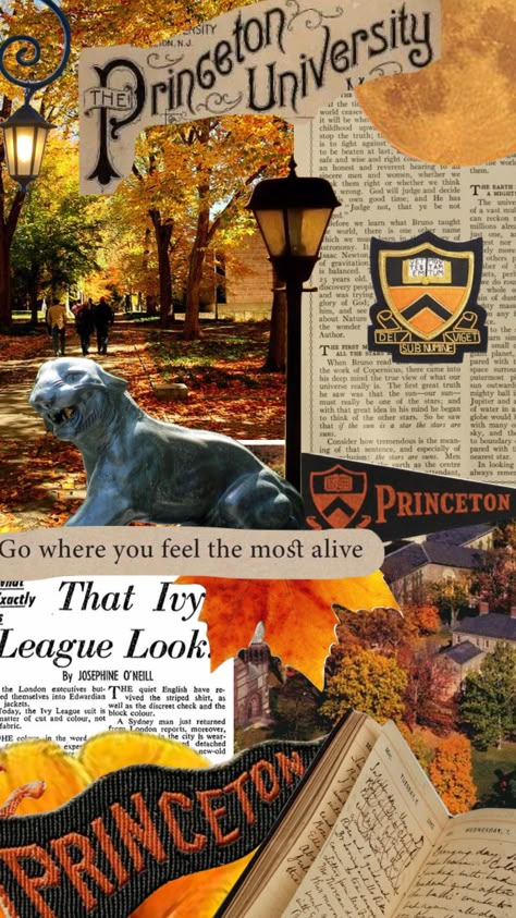 Top University Aesthetic, Collage Campus Aesthetic, Prinston University Aesthetic, Princeton University Wallpaper, Princeton Wallpaper, Magical University, Princeton Aesthetic, Princeton University Aesthetic, Ivy University