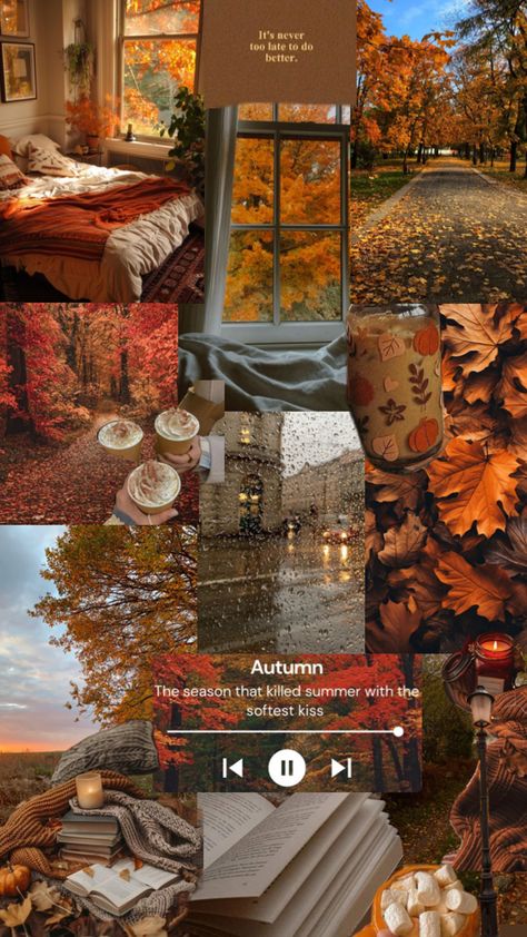 Fall Wallpaper, Collage, Quick Saves