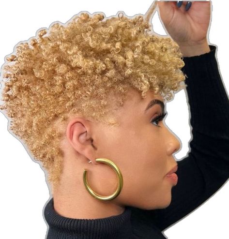 Short Blonde Hair On Black Women, Short Blonde Natural Hair Black Women, Natural Hairstyle Black Women, Natural Hair Styles For Black Women Short, Black Women Haircuts, Terra Glam, Natural Tapered Cut, Short Natural Curls, Natural Haircuts