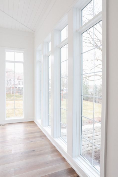 White Framed Windows, Floor To Ceiling Windows Sunroom, Hall Of Windows, Large Windows Dining Room, Pella Lifestyle Windows, Sunroom Doors, Arizona Room, Family Room Windows, Barn Remodel