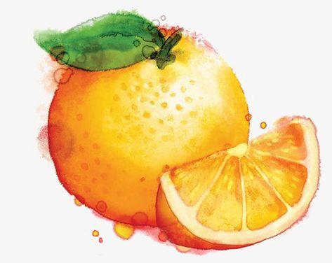 Fruit Watercolor, Vegetable Pictures, Orange Painting, Watercolor Food, Watercolor Fruit, Loose Watercolor, Fruit Illustration, Fruit Painting, 수채화 그림