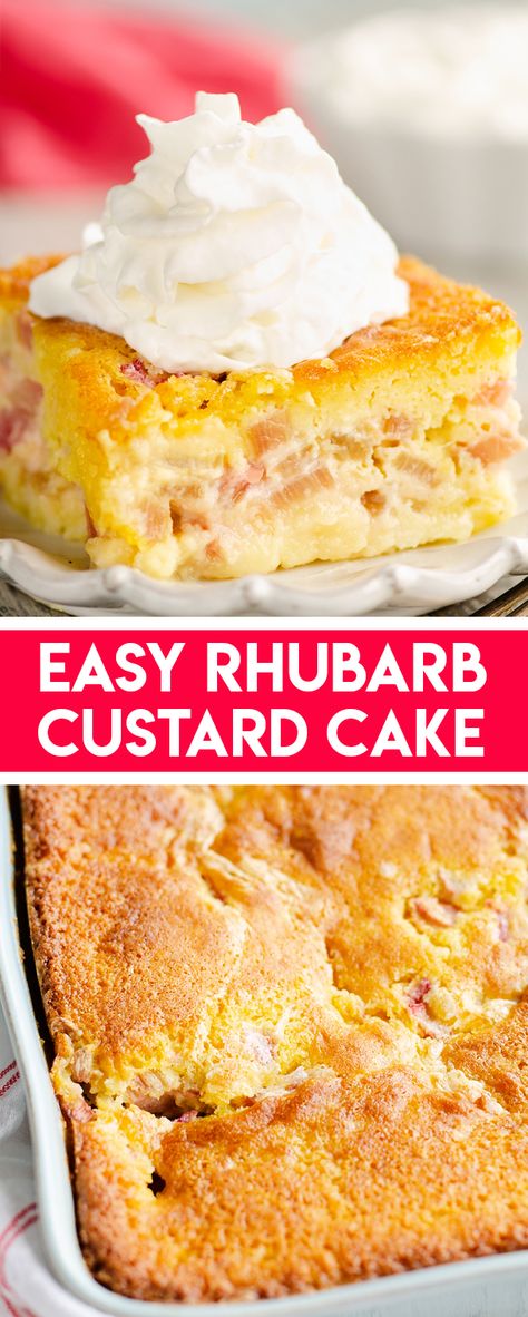 Rhubarb And Custard Recipes, Rhubarb Custard Cake, Rhubarb Custard Bars, Easy Rhubarb Recipes, Rhubarb Desserts Recipes, Rhubarb Dump Cakes, Rhubarb Cake Recipes, Rhubarb Scones, Best Rhubarb Recipes