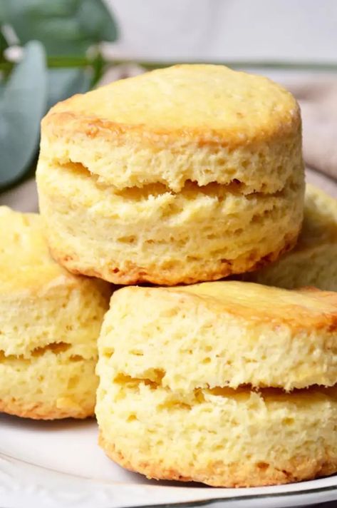 Easy Mary Berry Plain Scones Recipe British Scones Recipe Mary Berry, Plain Scones Recipe, British Scones Recipe, Mary Berry Scones, Treacle Scones, Mary Berry Recipes, Plain Scones, Basic Scones, British Scones