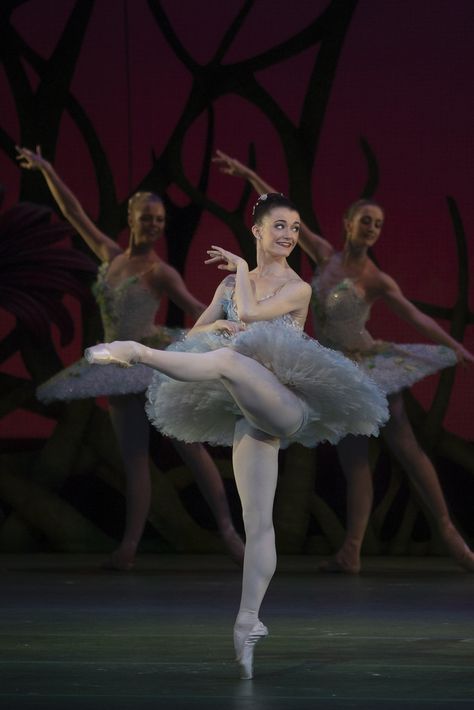 Anna Rose O'Sullivan as Amour in Don Quixote, The Royal Ballet © 2019 ROH. Photograph by Andrej Uspenski Anna Rose O'sullivan, Ballet Asthetic, Ballet Motivation, Don Quixote Ballet, Dancer Pictures, Ballerina Photography, The Royal Ballet, Ballerina Barbie, Ballet Pictures