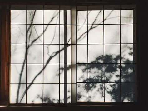 In Praise Of Shadows, Shikamaru Nara, Japanese Interior Design, Japan Aesthetic, Japanese Interior, Japanese Architecture, Tea House, Nara, Light And Shadow