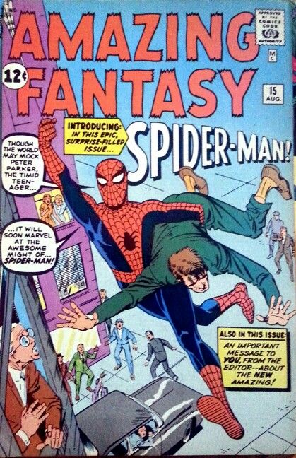 THE AMAZING FANTASY! Just found the first Spiderman comic in my collection!: 1962 Harry Osborn, Silver Age Comics, Steve Ditko, Mary Jane Watson, Comic Book Pages, Marvel Comic Character, Spiderman Comic, Jack Kirby, Gwen Stacy