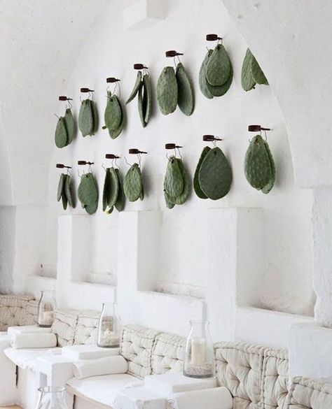 BAREFOOT GYPSY on Instagram: “Cacti | via #pinterest” Cactus Leaves, Indoor Cactus, Casa Country, Mediterranean Decor, Cactus Decor, Deco Floral, Prickly Pear, Retail Design, Restaurant Design