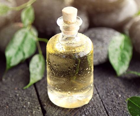 Tea Tree Oil Tea Tree Oil Benefits, Tea Tree Oil Uses, Tea Tree Oil Face, Oils For Dandruff, Oil For Curly Hair, Coconut Oil Hair Growth, Tea Tree Oil For Acne, Diy Coconut Oil, Coconut Oil Hair Mask