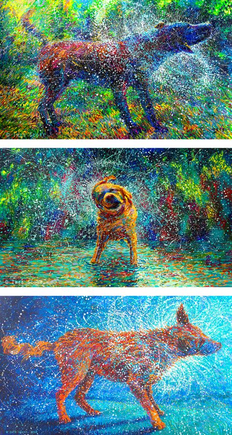 By Iris Scott | oil on canvas | finger painitng | shaking wet dogs | originals and prints | www.IrisScottFineArt.com  1. Canis Major 2. Shakin' Jake 3. Shakin' Off the Cosmos Iris Scott Shaking Dog Art Lesson, Dog Art Projects, Wet Dogs, Canis Major, Painting Music, Art Shelf, Dog Shaking, Iris Scott, Inspiring Artists