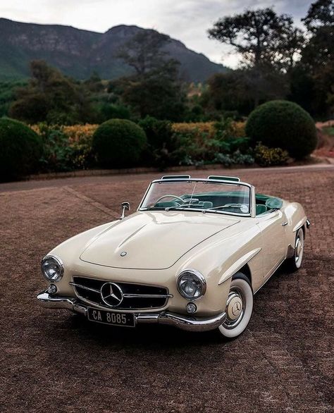 Old Money Cars, Mercedes Benz 190, Old Vintage Cars, Lovely Car, Mercedes Sl, Classic Mercedes, Mercedes Benz Classic, Classy Cars, Pretty Cars