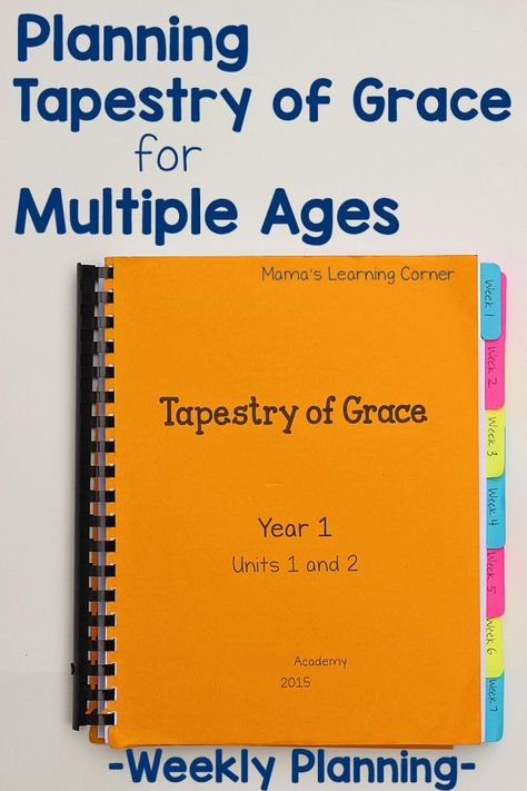 Planning Tapestry of Grace for Multiple Ages - practical tips and suggestions! Tapestry Of Grace, Raising Arrows, School Planning, Learning Corner, Free Homeschool Curriculum, Teachers Toolbox, Homeschool Elementary, School Plan, Homeschool High School