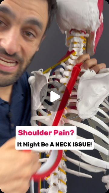 Stiff Shoulder And Neck, Rotator Cuff Muscles, Neck And Shoulder Exercises, Radial Nerve, Shoulder Problem, Stiff Shoulder, Shoulder Mobility, Shoulder Exercises, Neck And Shoulder Pain