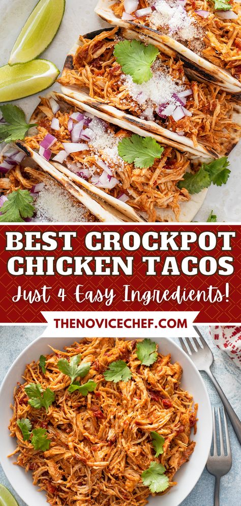 Make your Taco Tuesday even better, with this ultra-easy, super-flavorful recipe for Crockpot Chicken Tacos. Tender shredded chicken is seasoned to perfection and slow-cooked for the best taco filling ever! Taco In Crockpot Chicken, Chicken Crock Pot Tacos Slow Cooker, Chicken Taco Crockpot Recipes Easy, Crockpot Chicken Recipes Tacos, Rotel Chicken Tacos Crockpot, Healthy Crockpot Tacos, Crockpot Chicken Tacos From Frozen, Chicken Soft Tacos Crockpot, Shredded Taco Chicken Recipes