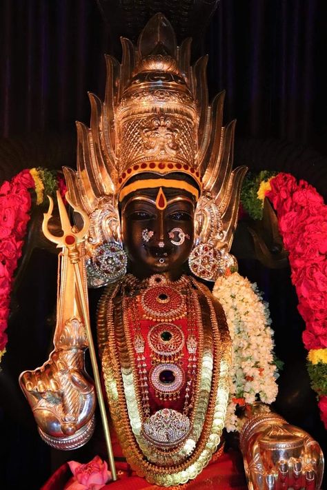 Kaliamman Photos, Indian Goddess Kali, Devi Images Hd, Devi Images, Wallpaper Hd Nature, Durga Devi, Radhe Krishna Wallpapers, God's Voice, Love For God