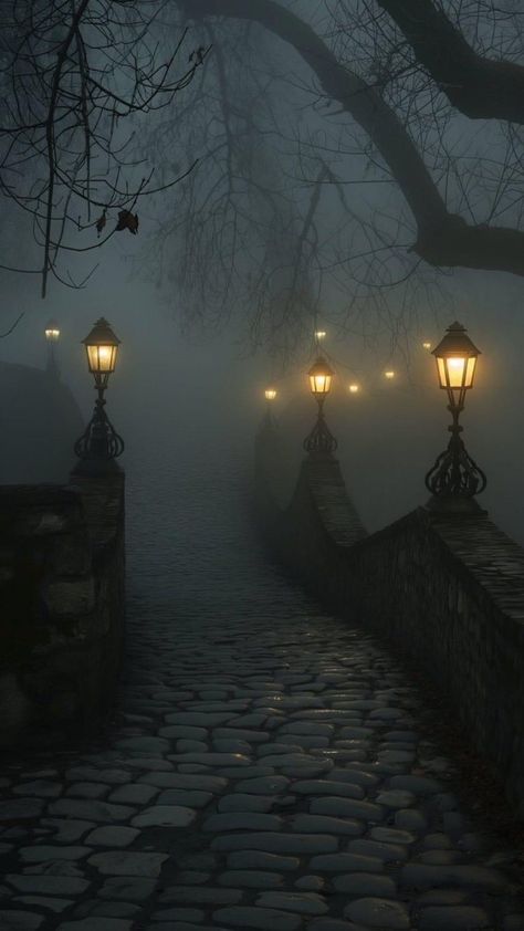 Foggy Night, Zen Design, Street Lights, Night Scenery, Gothic Aesthetic, Beautiful Dark Art, Dark Academia Aesthetic, Dark Places, 판타지 아트