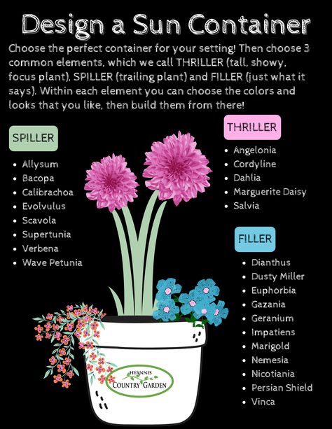 Thrillers Fillers Spillers, Easiest Flowers To Grow, Window Box Plants, Container Garden Design, Flower Business, Flower Pots Outdoor, Outdoor Pots, Front Porch Decorating, Home Landscaping