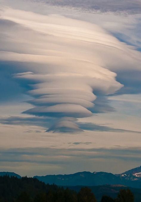 Lenticular Cloud Beautiful Sky Pictures, Lightning Photos, Lenticular Clouds, Ignorance Is Bliss, Earth Atmosphere, Green Pasture, Designer Rugs, Sky Pictures, Natural Phenomena