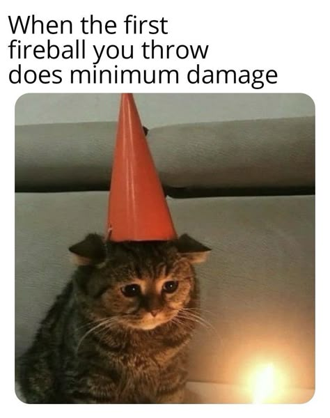 Dnd Wizard, D D Funny, Dungeons And Dragons Memes, Dragon Memes, Dnd Funny, D&d Dungeons And Dragons, Funny Animal Memes, Party Hat, Grumpy Cat