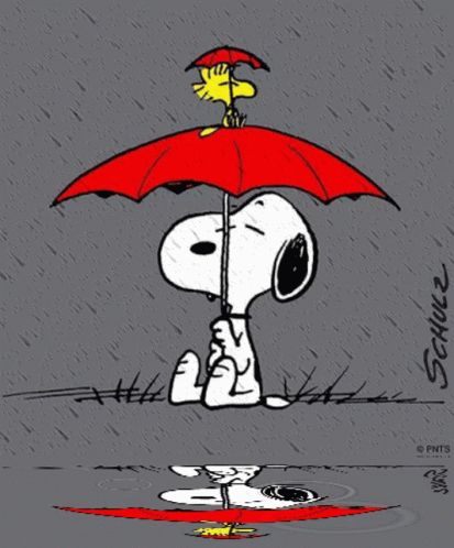 Gifs Snoopy, Charlie Brown Quotes, Rain Gif, Snoopy Tattoo, Snoopy Dance, Woodstock Snoopy, Snoopy Comics, Snoopy Cartoon, Snoopy Funny