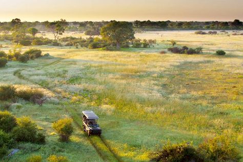 Do you need a reason to visit Botswana? Botswana Landscape, Botswana Aesthetic, Okavango Delta, Wellness Retreat, Landlocked Country, Animal Tracks, Safari Lodge, Kruger National Park, Wide World