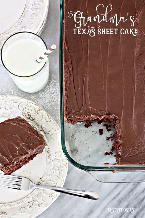 Grandma's Texas Sheet Cake Easy Texas Sheet Cake Recipe, Cake On A Plate, Coconut Sheet Cakes, Vanilla Sheet Cakes, Texas Sheet Cake Recipe, Chocolate Cake Frosting, Texas Sheet, Texas Sheet Cake, Chocolate Sheet Cake