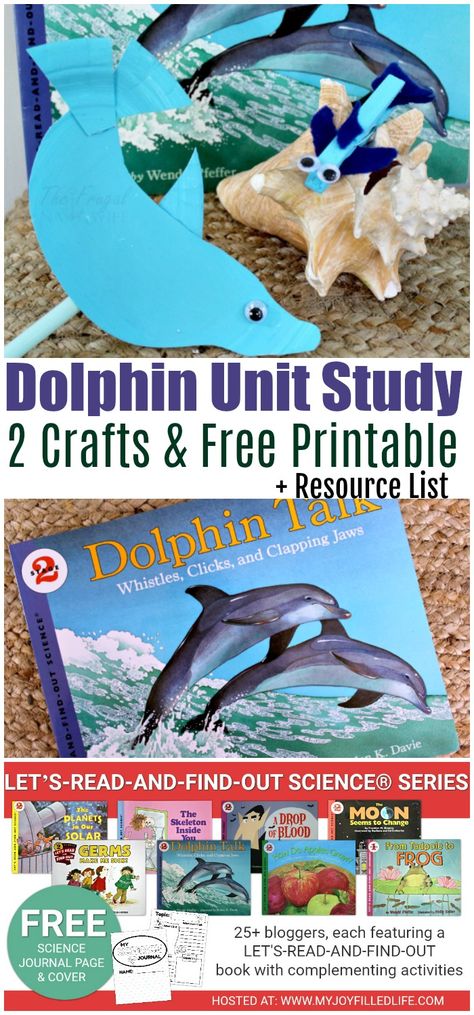 We loved learning about dolphins in the dolphin unit study. It includes several dolphin crafts for kids and a resource list on everything about dolphins. Dolphin Crafts, High School Earth Science, Origami Dolphin, Abc Countdown, Cycle For Kids, Ocean Ideas, Study Craft, Dolphin Tale, Animal Lessons