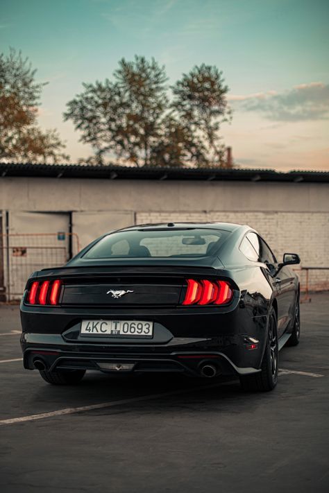 #ford #mustang #blackcar #black #fordclassiccars #fordmustang Gt 350, Black Mustang, Ford Mustang Ecoboost, Mustang Ecoboost, Dream Future, Shelby Gt, Ford Classic Cars, Ford Mustang Shelby, Mustang Shelby