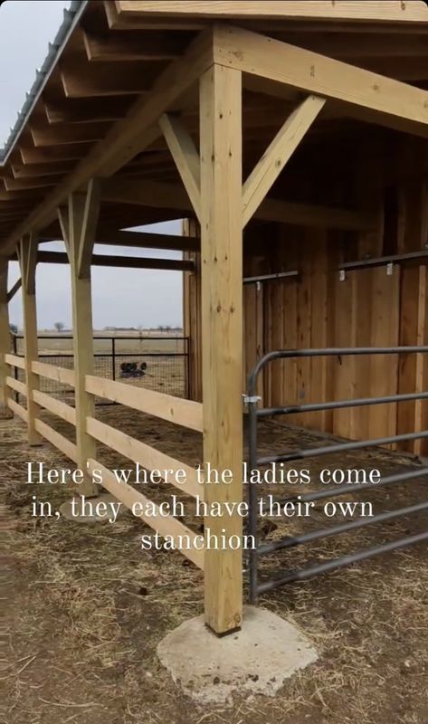 Highland Cow Shelter, Donkey Shelter Ideas, Cow Shelter, Goat Shelter With Hay Storage, Horse Shelter Pallets, Diy Horse Shelter Run In Shed, How To Build A Run In Shed For Horses, Small Barn Ideas, Pallet Run In Shed Horse Shelter