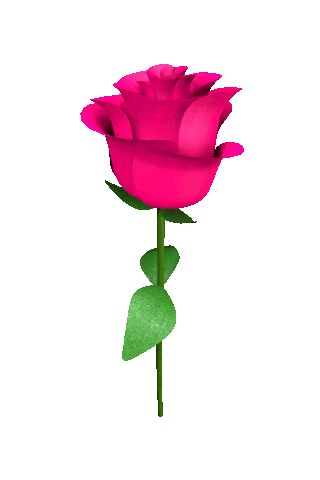 Rosé Gifs, Independence Day Images, Emoji For Instagram, Cute Backgrounds For Phones, Lovely Flowers Wallpaper, Flowers Gif, Fish Wallpaper, 3d Rose, My Funny Valentine