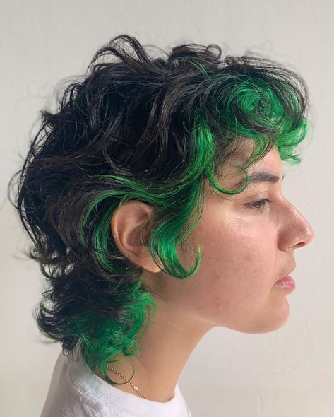 ➕bex➕ on Instagram: “GREEN✅CURLY✅MULLET✅ swipe 4 a half purple eyebrow! . . . #hair #hairstyles #curly #curlyhair #curlycut #curlymullet #loosecurl #mullet…” Eyebrow Cut, Dyed Curly Hair, Rainbow Hair Color, Curly Mullet, Hair Inspiration Short, Haircuts For Curly Hair, Hairstyles Curly, Mullet Hairstyle, Dye My Hair