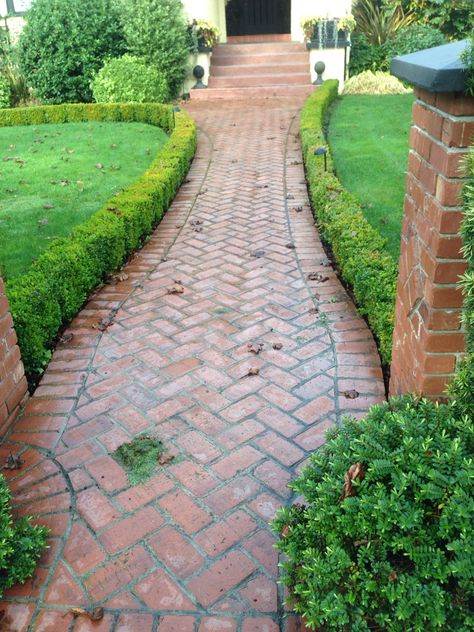 Herringbone Brick Pathway, Red Brick Pathway, Herringbone Brick Pattern, Brick Paver Driveway, Herringbone Brick, Flagstone Pathway, Brick Sidewalk, Front Path, Courtyard Ideas