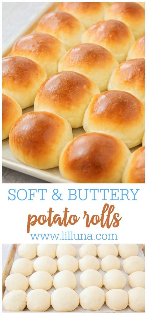 Potato Rolls Recipe With Potato Flakes, Potato Rolls Bread Machine, Mashed Potato Dinner Rolls, Potatoe Rolls Recipe Simple, Potato Cinnamon Rolls Homemade, Homemade Potato Buns, Fluffy Potato Rolls, Homemade Potato Rolls, Amish Potato Rolls