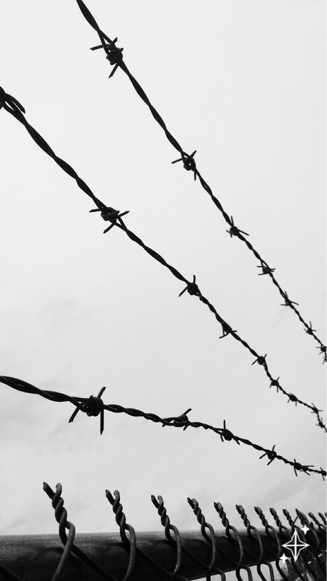 Barbed Wire Aesthetic, Barbed Wire Art, Barbed Wire Fencing, Photoshop Projects, Dreamcore Weirdcore, Dark Romance Books, Mood And Tone, What Image, Fashion Photography Inspiration