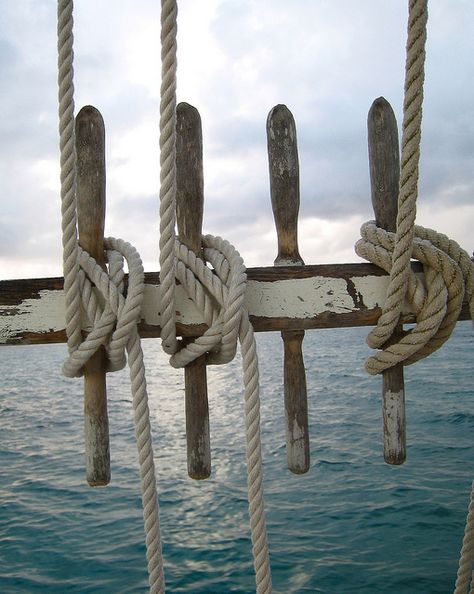 ⚓♡salt air⊰⛵      .“The sea always filled her with longing, though for what she was never sure.” ― Cornelia Funke Ship Rope, Boat Rope, Sailing Rope, Navi A Vela, Model Ship Building, Nautical Knots, Sea Captain, Salt Air, Old Boats