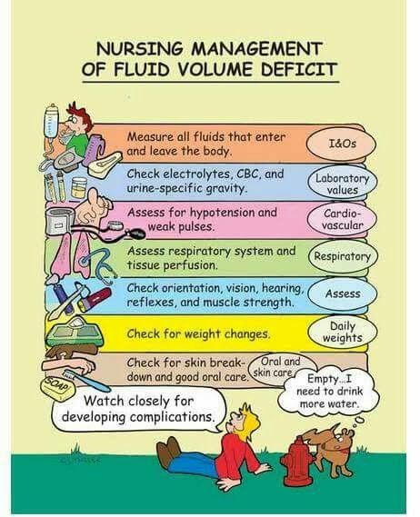 Fluid Volume Deficit, Fluid Volume Excess, Nursing Student Organization, Nursing Apps, Nursing School Memes, Nursing School Clinicals, Nursing Assessment, Nurse Manager, Nursing Student Tips