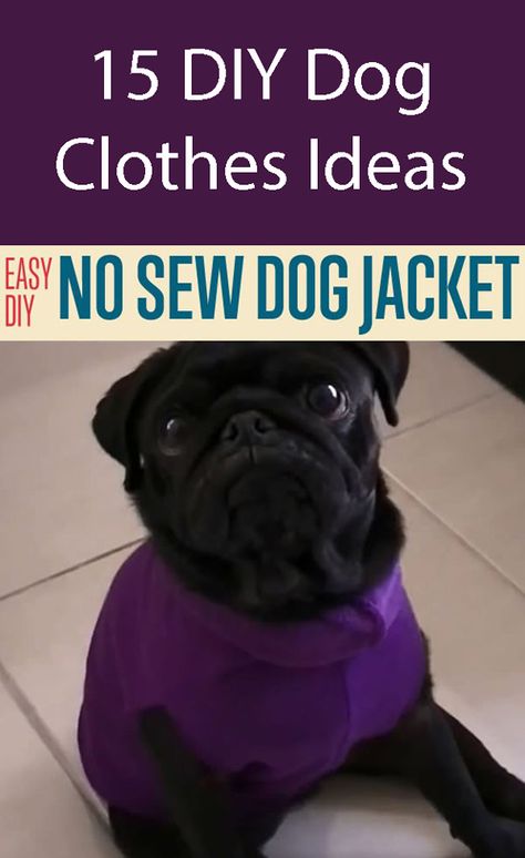 Diy Dog Coat No Sew, No Sew Dog Sweater, Small Dog Jacket Pattern Free, Diy Pitbull Clothes, No Sew Dog Clothes, Diy Small Dog Clothes, Diy Puppy Clothes, Dog Coats Patterns Free Sewing, Dog Coat Pattern Free Printable