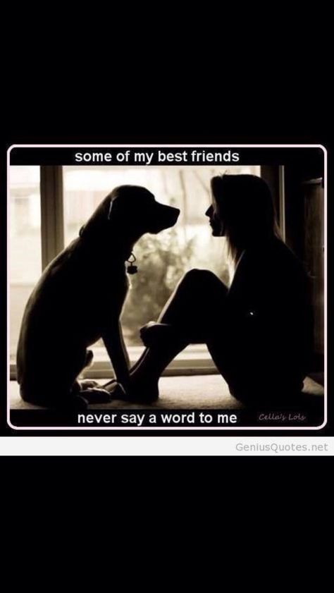 I 21st Quotes, Dog Quotes Love, Eric Northman, Memes Humor, Dog Rules, Dog Quotes, Animal Quotes, 귀여운 동물, Dog Life