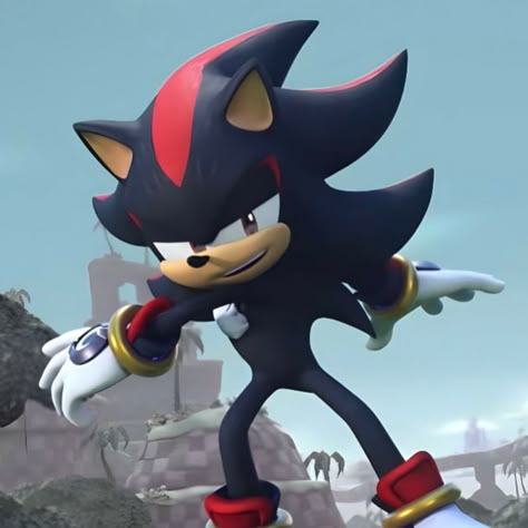 Shadow The Hedgehog Smiling, Shadow Pfps Sonic, Shadow From Sonic, Shadow Icons, Shadow Sonic, Sonic Prime, Baby Hedgehog, Sonic Characters, Sonic 3