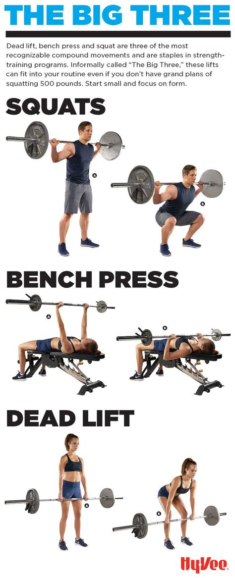 Squat, press, lift! Dead lift, bench press and squats are the three staples of strength training. Start small and focus on form to reach your goals. Bench And Barbell Workout, Beginner Bench Press Workout, Barbell Bench Press For Women, Women Bench Press, Proper Form For Weight Lifting, Dead Lift Form, Bench Press Workout Women, Bench Press Women, Bench Press Form