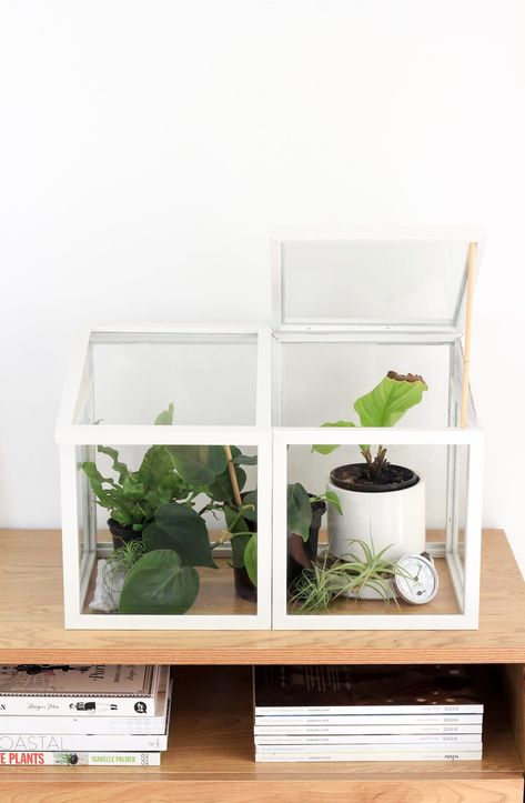 Make a Mid-Century Modern Greenhouse from Photo Frames | Dossier Blog Plant Raisers, Diy Mini Greenhouse, Dollar Store Home Decor, Modern Greenhouse, Modern Greenhouses, Indoor Greenhouse, Greenhouse Plants, Small Greenhouse, Mini Greenhouse