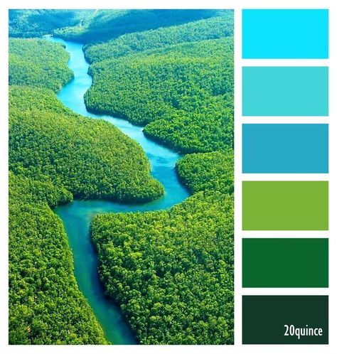 Pin by Anne-Marie Bazin on Colores 20quince | Green colour palette, Color schemes colour palettes, Color palette Colors From Nature, Green To Blue Color Palette, Tropical Green Color Palette, Jungle Color Scheme, Green And Turquoise Color Palette, Green Nature Color Palette, Rainforest Color Palette, Vibrant Green Color Palette, Male Color Palette