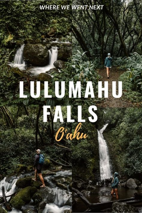 Lulumahu Falls Oahu, Hawaii Hikes, Lanikai Beach, Waterfall Hikes, Small Waterfall, Bamboo Forest, Oahu Hawaii, What To Pack, Mountain Range