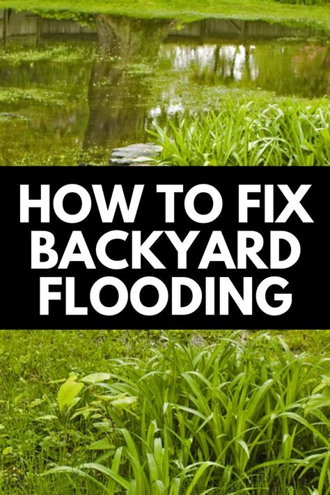 If your yard floods after heavy rains, then this guide is for you! Here, we discuss how to fix backyard flooding to reclaim your yard! Read more at OwnTheYard.com! How To Fix Swampy Yard, Water Pooling In Yard, Flood Zone Landscaping, Flood Plain Landscaping, Wet Yard Solutions Backyards, Flooding Yard Solutions, Rain Scaping Ideas, Flood Barrier Diy, Yard Flooding Solutions