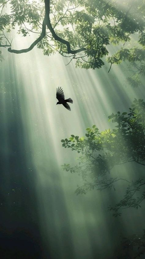 Peaceful Landscapes Photography, Green Bird Aesthetic, Nature Serenity, Take A Moment To Breathe, Dark Purple Wallpaper, Bird In Flight, Ayat Alkitab, Simple Joys, Trending Pins