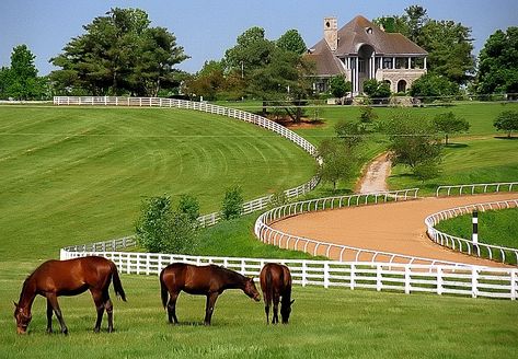 You'll Want To Take This Dreamy Road Trip Through Kentucky's Scenic Horse Country Kentucky Horse Farms, Future Farms, Ranch Farm, Farm Tour, Dream Barn, Lexington Kentucky, Have Inspiration, Horse Ranch, Horse Stables