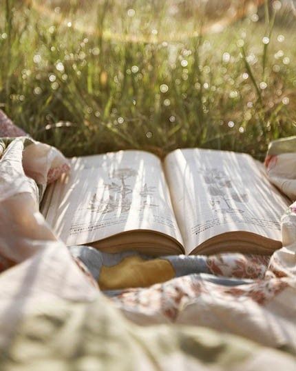 Ok im not the only one who loves read their books outside then An Open Book, Open Book, The Grass, A Blanket, Park Bench, Bench, Reading